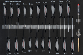 Schraubendreher-Einlage 22-tlg.