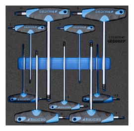 GEDORE 1500 CT2-DT 2142 Winkelschraubendreher-Satz in Check-Tool-Modul