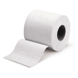 Raja Toilettenpapier