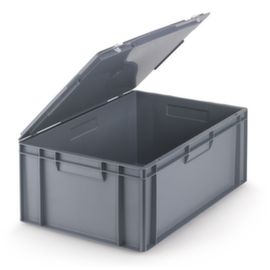 Eurobox mit Klappdeckel