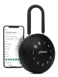 Phoenix Safe Schlüsseltresor PALM