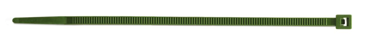 Kabelbinder, Länge 140 mm, grün Standard 1 ZOOM