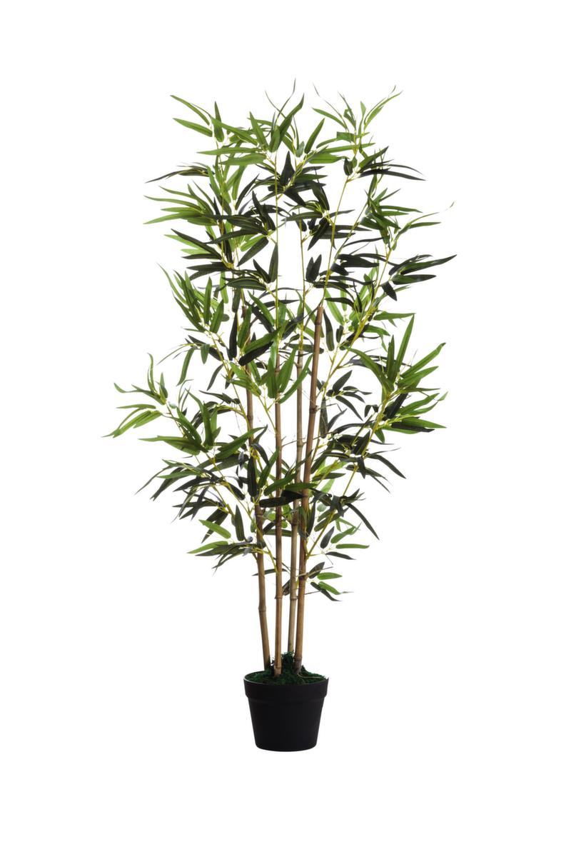 Paperflow Kunstpflanze Bambus, Höhe 1600 mm Standard 1 ZOOM