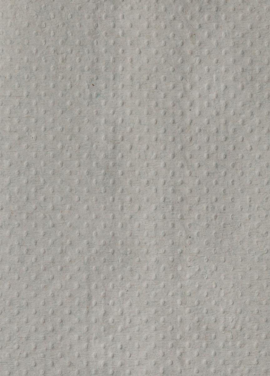 Raja Papierhandtücher Detail 2 ZOOM