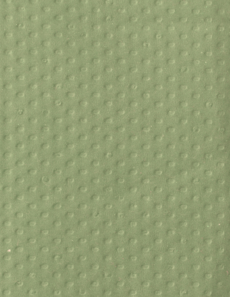 Papierhandtücher Eco aus Tissue mit V-Falz, Zellstoff Standard 3 ZOOM