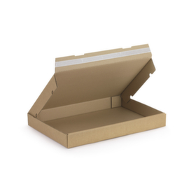 Flach-Pack mit Haftklebeverschluss 430 x 310 x 50 mm