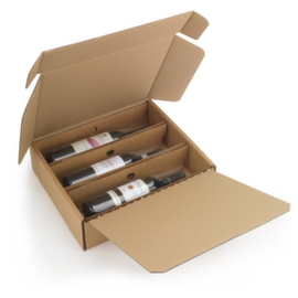 Flaschenkarton mit Folienfixierung 3 Flaschen