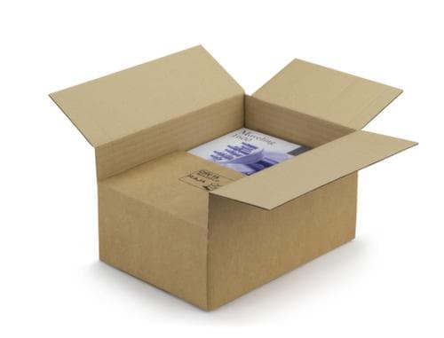 Blitzboden-Aufrichtekarton Varia Standard für leichte Produkte