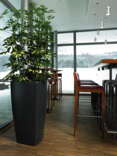 Trapezförmiger Pflanzkübel degardo® TREVIA IV