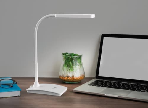 MAUL Kompakte LED-Schreibtischleuchte MAULpearly colour vario mit einstellbarer Farbtemperatur, Licht tageslicht- bis warmweiß, weiß