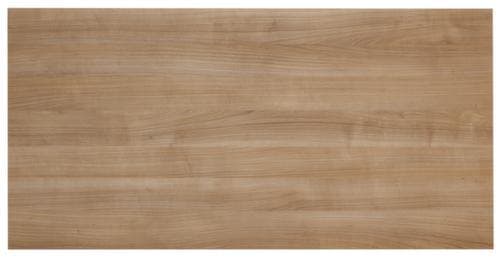 Doppel-Flügeltür Terra Nova für Büroregal, Höhe x Breite 1140 x 800 mm