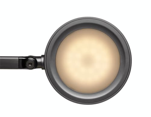 MAUL LED Schreibtischleuchte MAULgrace colour vario mit einstellbarer Farbtemperatur